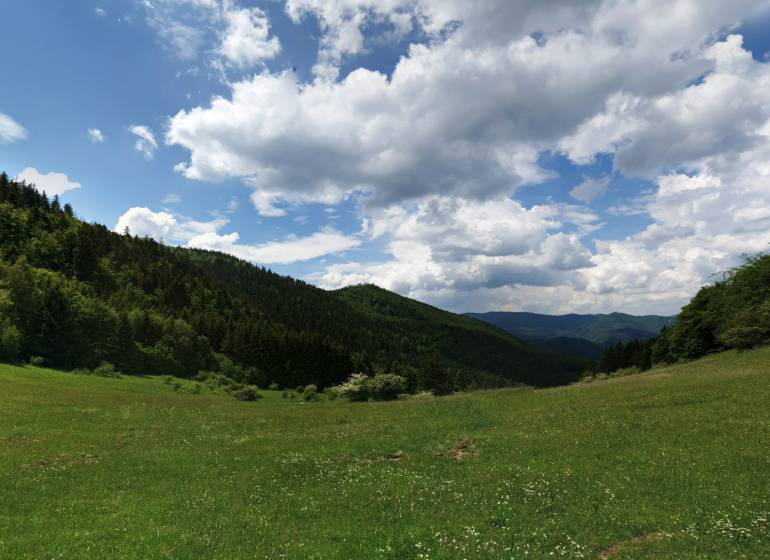 Zelená louka obklopená lesy a kopci v Čavoji, ideální pro zemědělské a lesní pozemky.