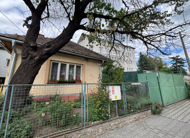 Rodinný dům v Ilavě s předzahrádkou a velkým stromem u chodníku.