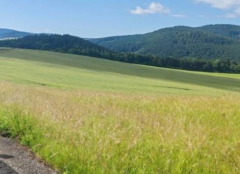 Krásné louky a pole vhodné na pozemky - bydlení v Králíkách, zelená krajina na horizontu.