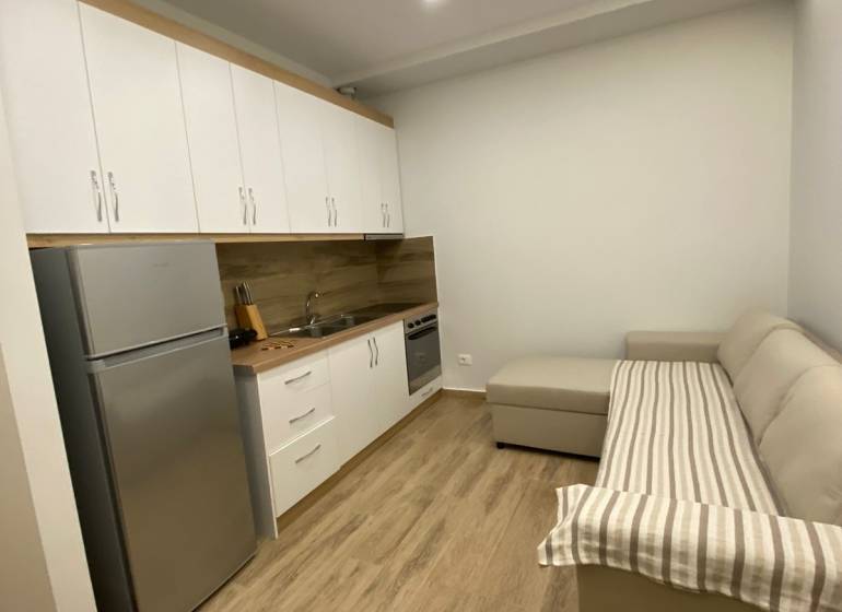 Rekreační apartmán s kuchyňskou linkou, lednicí a pohodlnou pohovkou na dřevěné podlaze.
