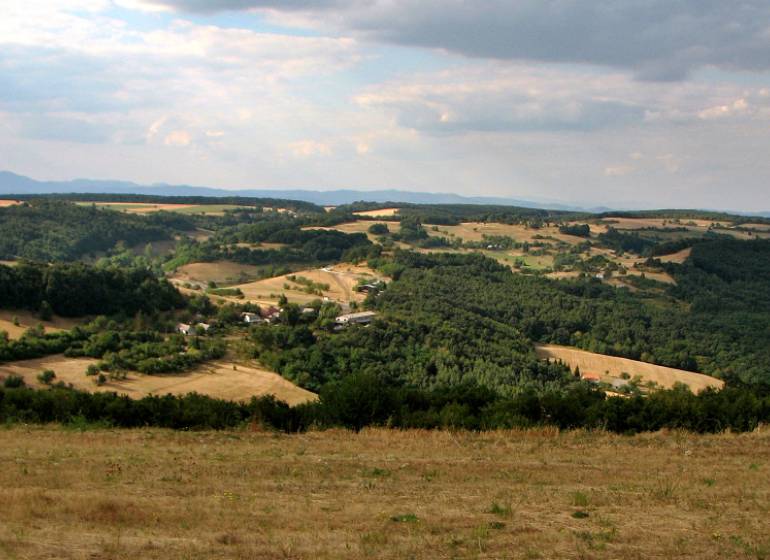 Kopcovitá krajina s lesy a otevřenými pozemky, ideální pro bydlení na venkově.