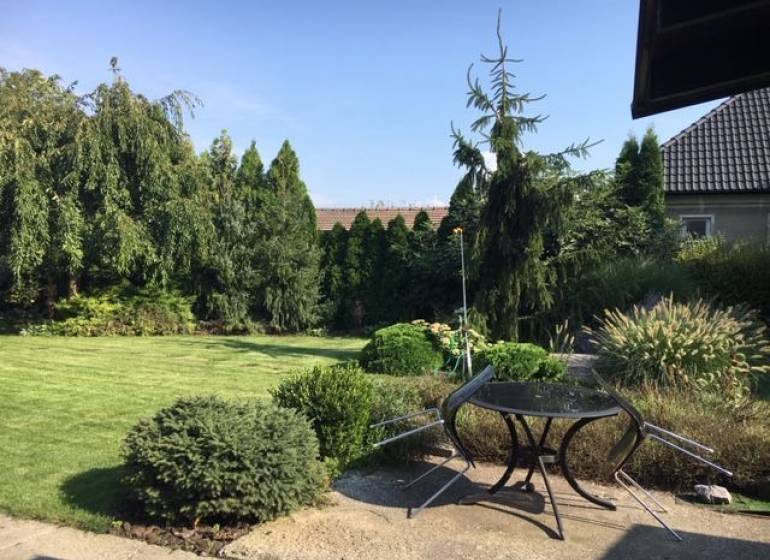 Zahrada rodinného domu v Černé Vodě s trávníkem, stromy a venkovním posezením.