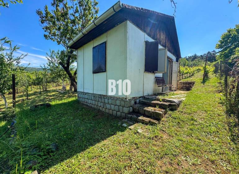 Dřevěná chatka uprostřed vinic v Nitře, obklopená zelení a stromy.