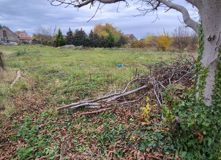 Pozemek v Tvrdošovcích vhodný k bydlení, obklopený stromy a zelení.