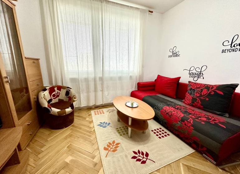 Garsonka s podlahou s dřevěným dekorem, červenou sedačkou a křeslem.