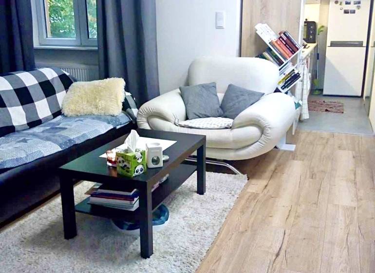 Obývací pokoj v jednopokojovém bytě s podlahou s dřevěným dekorem a pohodlným posezením.