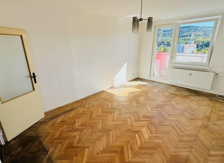 Pokoj s podlahou s dřevěným dekorem v 1-pokojovém bytě, velké okno, dveře s prosklením.