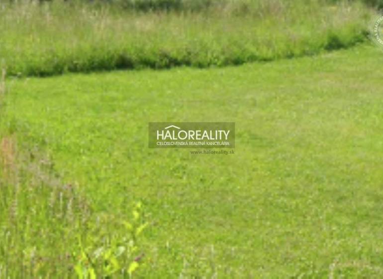 Zelený pozemek v Dulové Vsi, vhodný pro bydlení, obklopený přírodou.