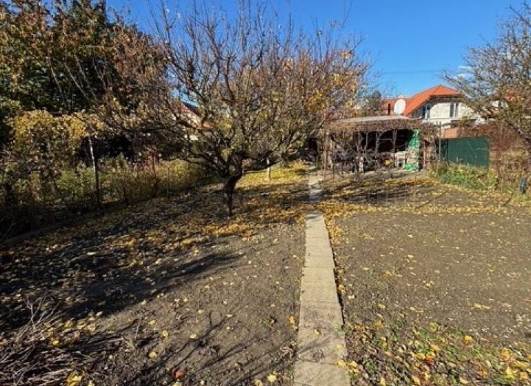 Podzimní zahrada na Střední ulici v Bratislavě-Ružinově s chodníkem a stromy.