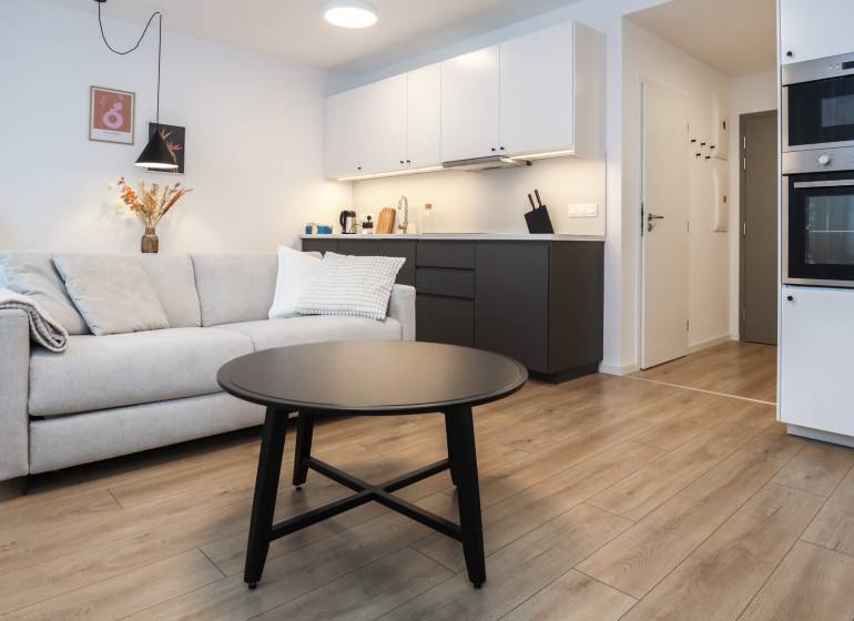 Obývací pokoj s kuchyňským koutem v 1-pokojovém bytě, podlaha s dřevěným dekorem.