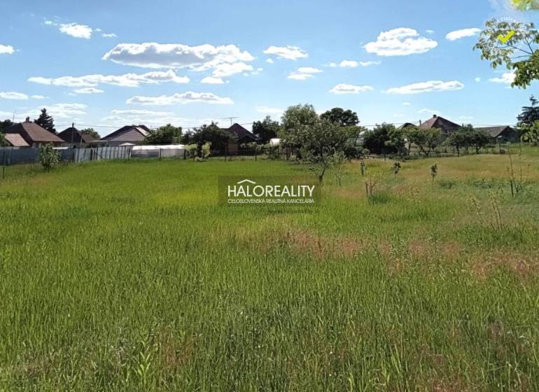 Travnaté plochy v zahradách Marcelové, obklopené domy za slunečného počasí.