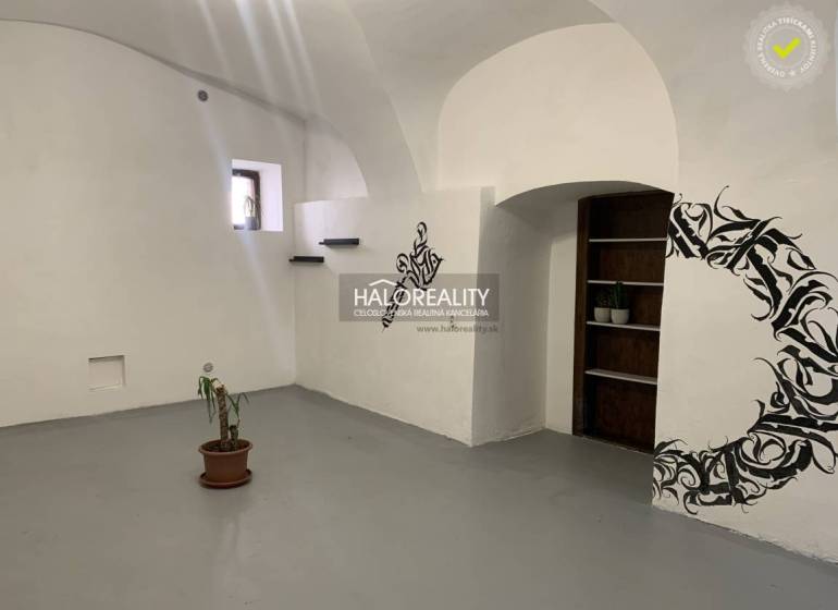 Kanceláře s bílými stěnami, květinovým vzorem a malou pokojovou rostlinou.