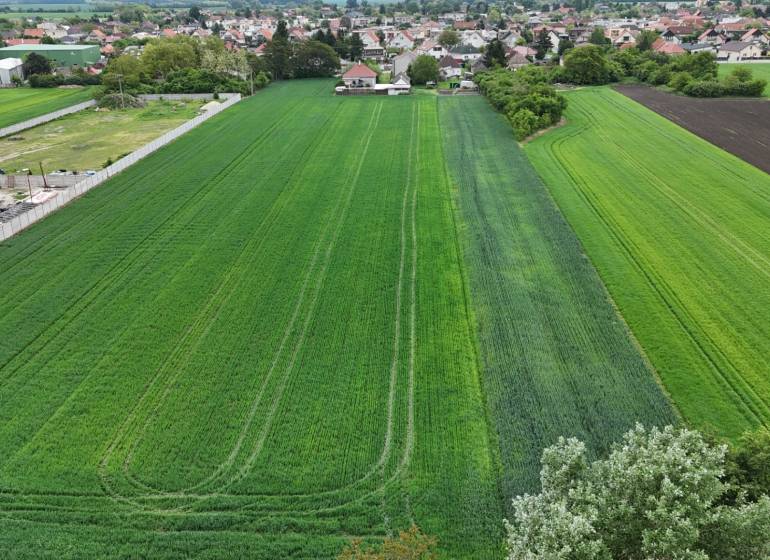 Pozemok - výstavba Jelka