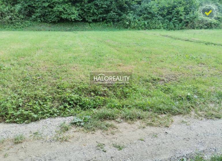 Pozemky - bydlení v Modrové zahrnují travnatou plochu u lesa s cestou.