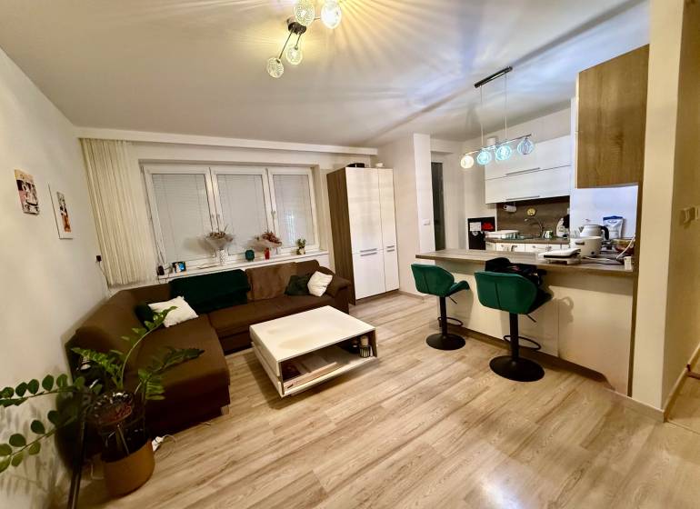 Obývací pokoj a kuchyň v 2pokojovém bytě s podlahou s dřevěným dekorem.