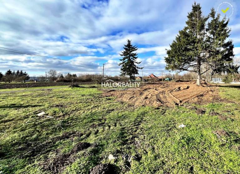 Pozemky - bydlení v Ondřejovcích, zelené plochy a jehličnany pod modrou oblohou.