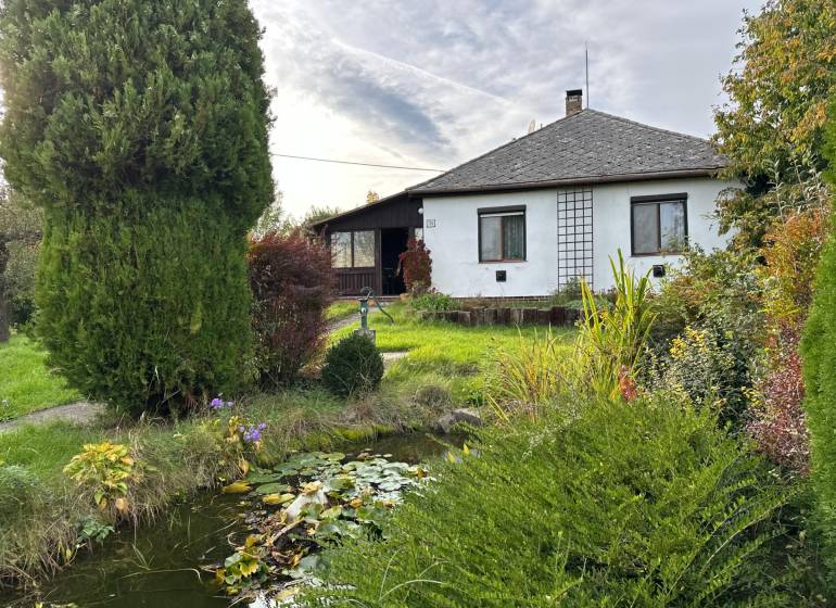 Rodinný dům v Kalši s krásnou zahradou a malým jezírkem obklopeným zelení.