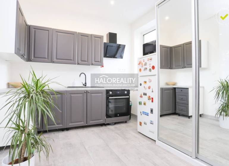 Kuchyně v 2-pokojovém bytě s bílými stěnami, šedými skříňkami a rostlinou.