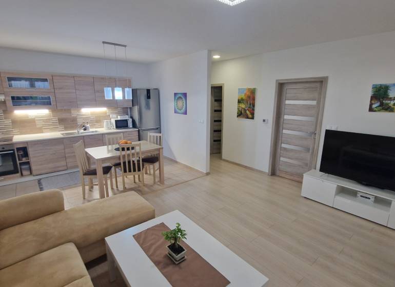 Obývací pokoj s kuchyní, podlaha s dřevěným dekorem, jídelní stůl, sedačka, TV stolek.