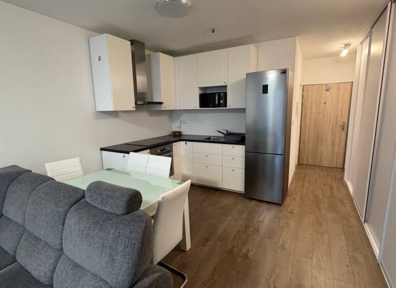 Obývací pokoj s kuchyní, sedačkou a podlahou s dřevěným dekorem v 1+kk bytě.