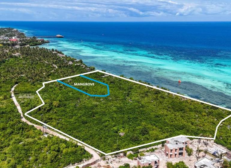 Pozemky - komerční v Kizimkazi u tyrkysového pobřeží s hustou zelení a mangrovy.