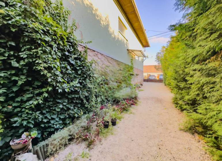 Zahrada u rodinného domu v Betliari s bohatým porostem a květinovými dekoracemi.