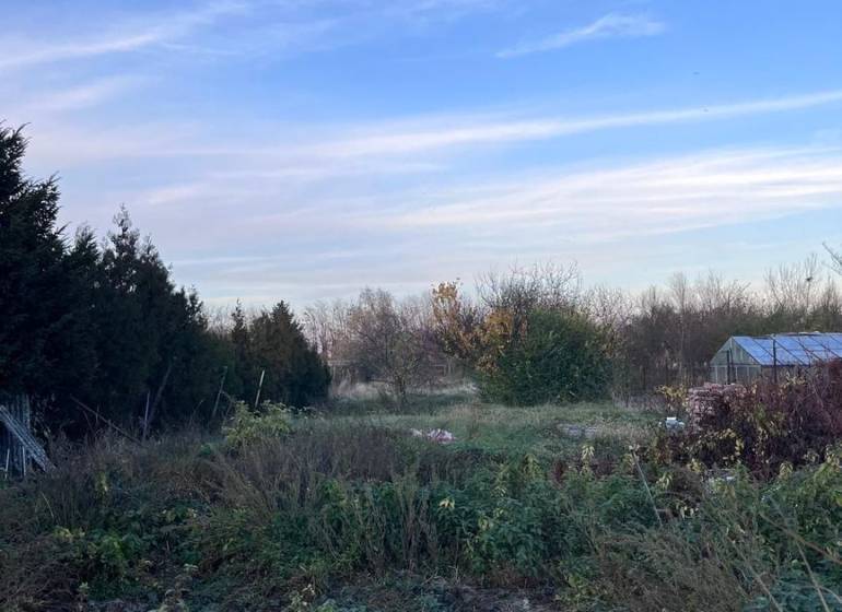 Zahrada u rodinného domu v Kajali se zelení a modrou oblohou.