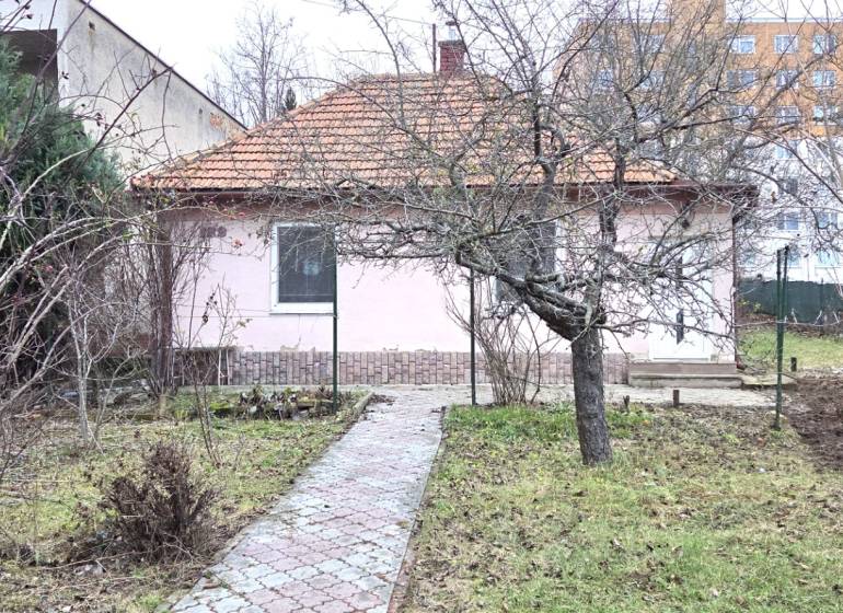 Rodinný dům v Levicích na ulici 29. srpna s předzahrádkou a stromy.