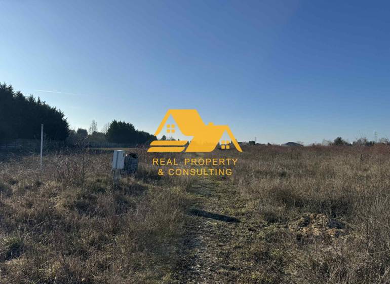 Pozemek - bydlení v Nových Zámcích na ulici Nové Zámky, s volnou přírodou a vegetací.