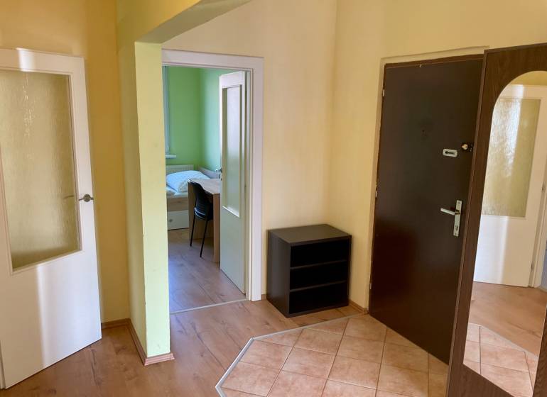 Předsíň s tmavými dveřmi, podlaha s dřevěným dekorem, výhled do pokoje.