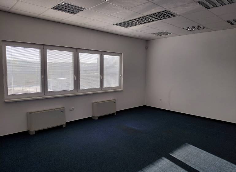 Interiér skladů a hal s modrým kobercem, velkými okny a bílými stěnami.