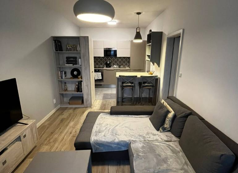 Obývací pokoj s kuchyní v 2pokojovém bytě, šedá sedačka, podlaha s dřevěným dekorem.