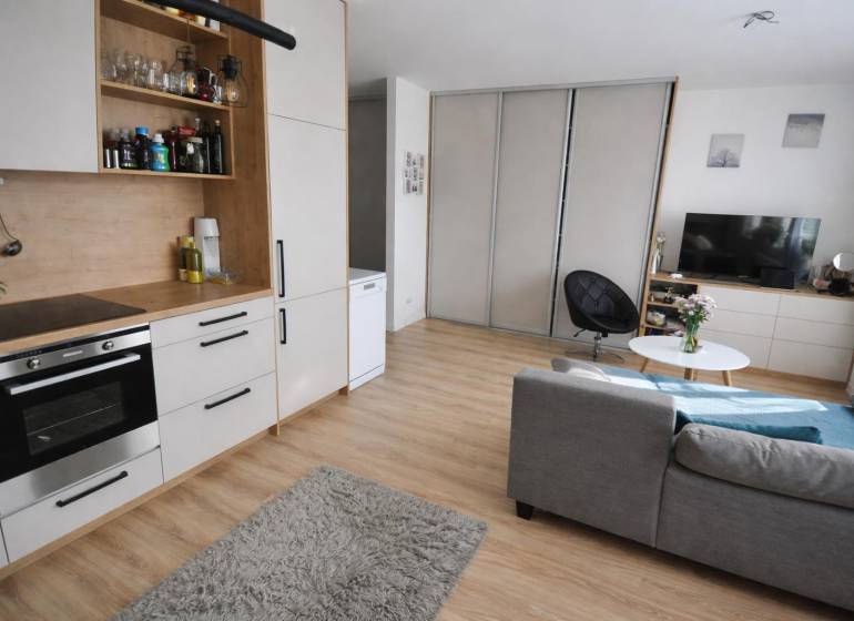 Interiér 1-pokojového bytu s šedou sedačkou, kuchyňskou linkou a podlahou s dřevěným dekorem.