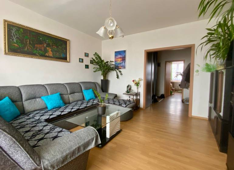 Obývací pokoj v 3pokojovém bytě s pohovkou, podlahou s dřevěným dekorem a dekoracemi.