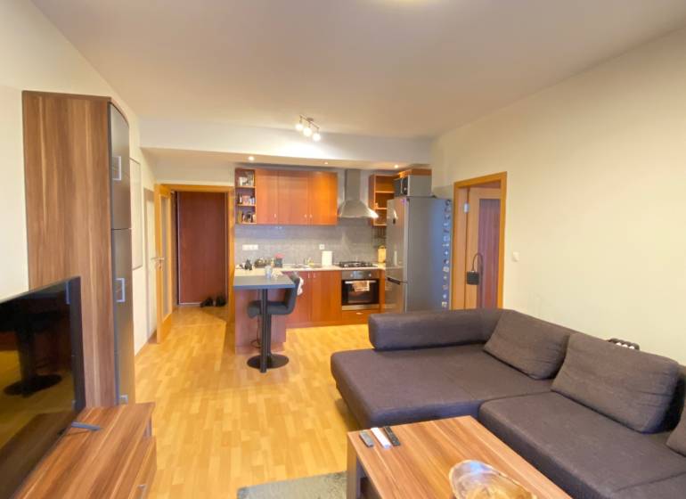 Obývací pokoj v 2pokojovém bytě s podlahou s dřevěným dekorem a pohovkou.