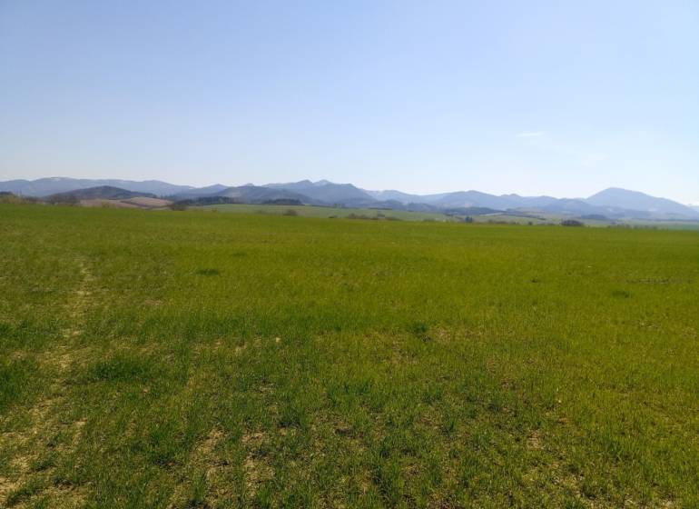 IMG_20210428_111953 (1).jpg