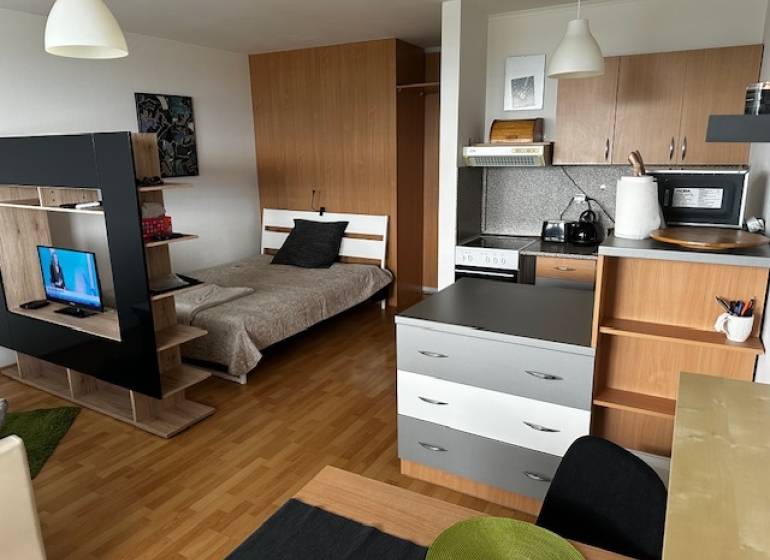 Interiér 1-pokojového bytu s podlahou s dřevěným dekorem, postelí a televizí.