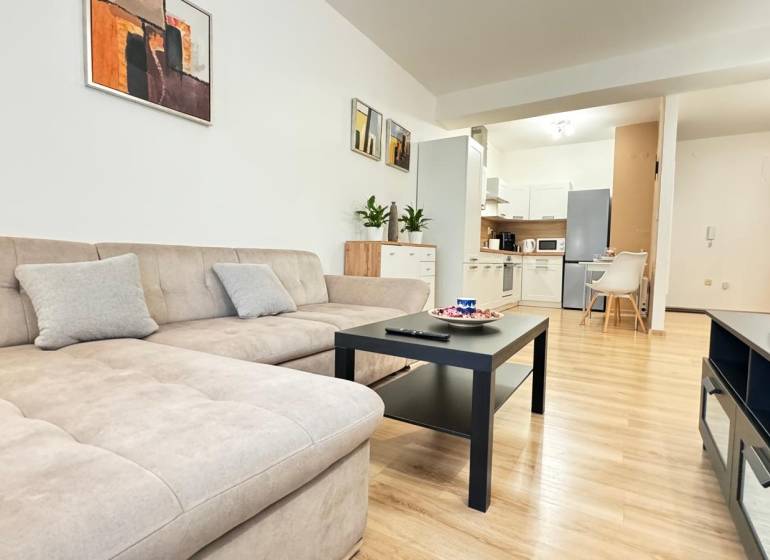 Obývací pokoj s pohovkou, podlahou s dřevěným dekorem a kuchyní v 2pokojovém bytě.