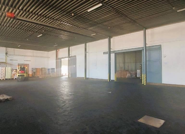 Samozřejmě, prosím, poskytněte text, který chcete přeložit do češtiny.