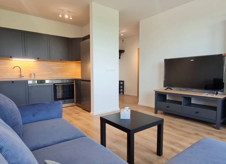 Obývací pokoj s kuchyňským koutem, šedou pohovkou a podlahou s dřevěným dekorem v 2-pokojovém bytě.