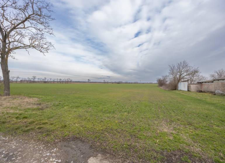 Zelený pozemek na bydlení v Jatově na ulici Jatov s holými stromy.