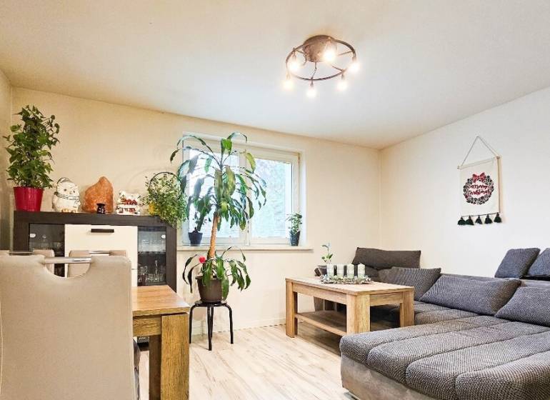 Obývací pokoj s pohovkou, jídelním stolem, pokojovými rostlinami a podlahou s dřevěným dekorem.