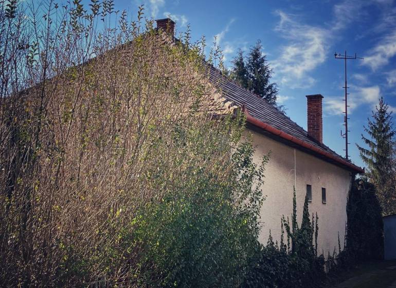 Rodinný dům v Horních Chlebanech obklopený hustou zelení a hustými stromy.