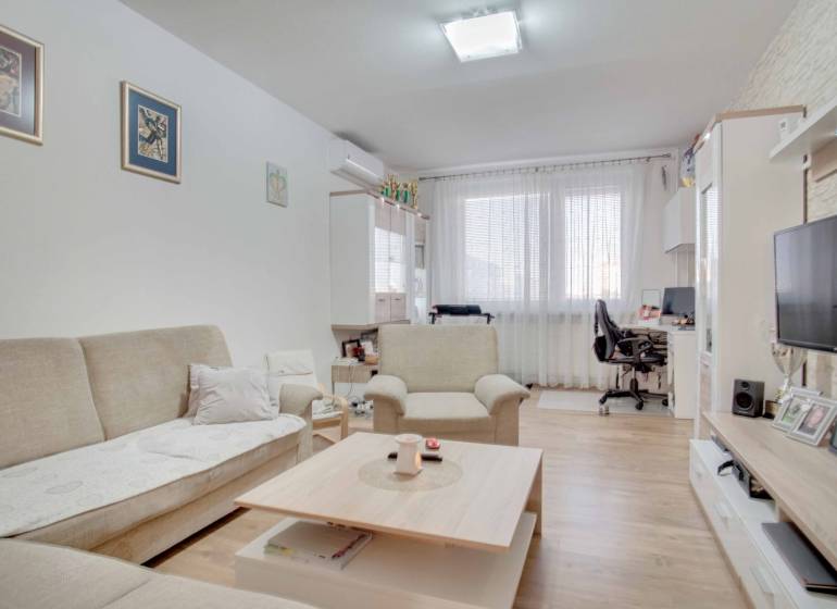 Obývací pokoj s pohovkou a TV v 3pokojovém bytě, podlaha s dřevěným dekorem.