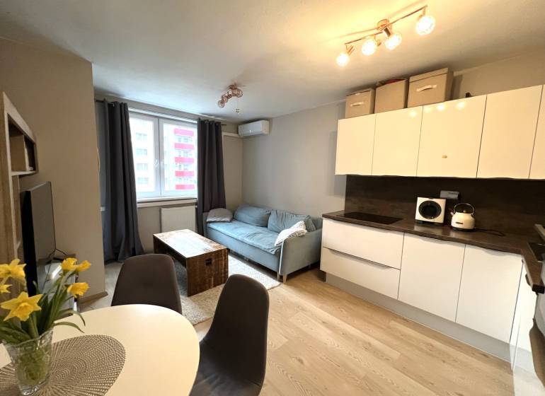 Kuchyně a obývací pokoj v 2pokojovém bytě s podlahou s dřevěným dekorem.