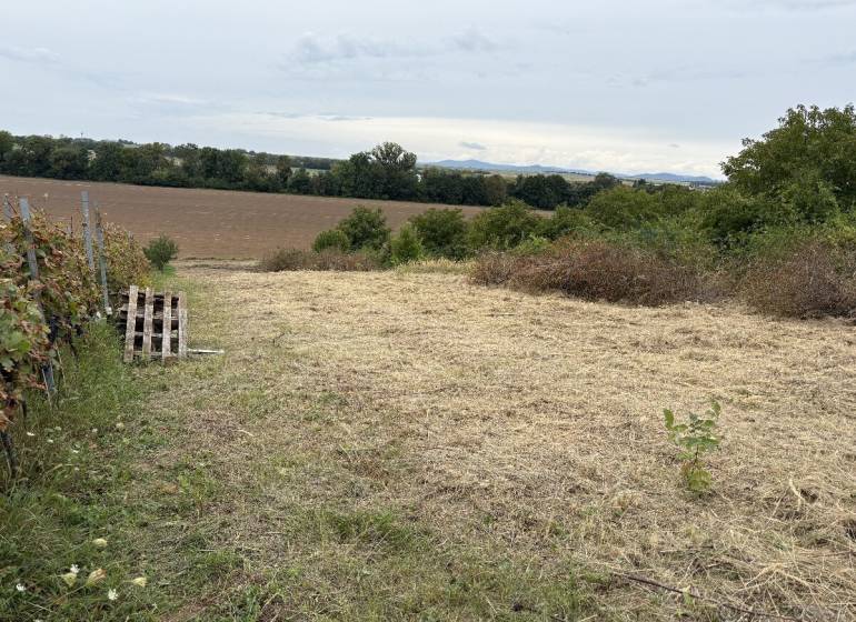 Zahrady ve Zvončíně nabízejí výhled na louky a pole v oblasti Zvončín.
