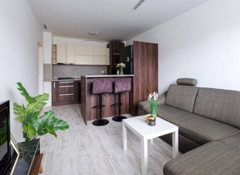 Obývací pokoj s kuchyní, sedačkou, barovým pultem a podlahou s dřevěným dekorem ve 2-pokojovém bytě.