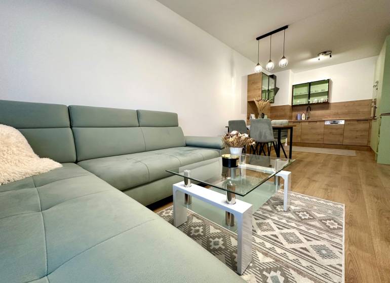 Obývací pokoj v 2-pokojovém bytě s podlahou s dřevěným dekorem a pohodlnou sedačkou.