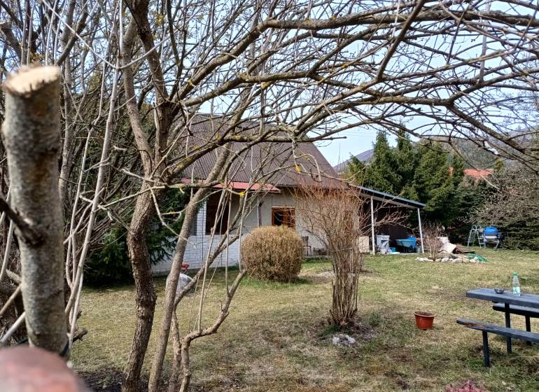 IMG_20260401_124557239_HDR.jpg