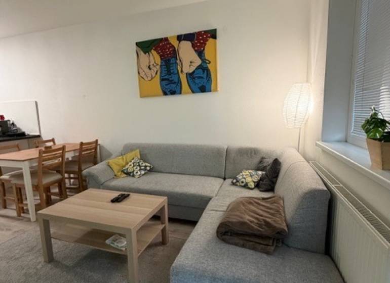 Světlý obývací pokoj s rohovou sedačkou a uměním v 2-pokojovém bytě.